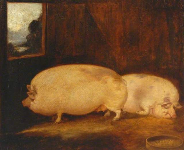 Pigs by T. Horsley